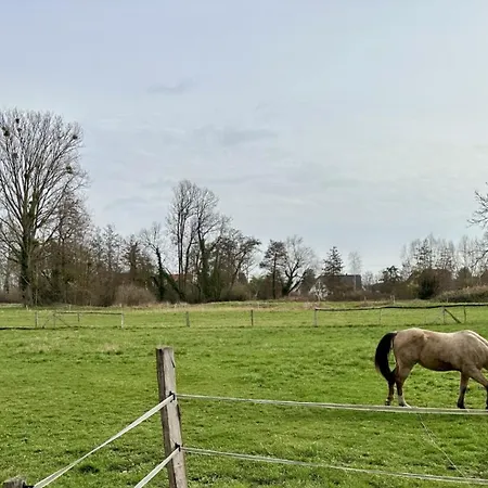 Semesterbostad Gite Coeur De Cigogne - Spa Privatif & Charme Alsacien - 15' Strasbourg Obernai *