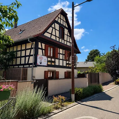 Coeur De Cigogne - Feerie De Noel, Proche De Strasbourg Relais Tram *