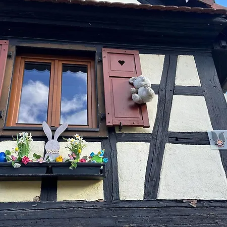 Coeur De Cigogne - Feerie De Noel, Proche De Strasbourg Relais Tram * Hangenbieten